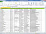 do fast and accurate data entry in excel and word
