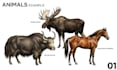 create realistic animal illustrations for encyclopedia book
