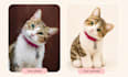 custom pet plush portrait your pet not a generic one