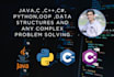 develop professional python, java, javascript, c and cpp projects