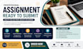 write professional assignment and academic papers