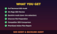 do a complete SEO audit and backlink audit with disavow report
