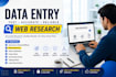 do professional web research and data collection excel