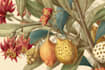illustrate best botanical illustration