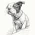 draw your pet into awesome scribble art