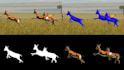 do rotoscoping, green screen removal, and chroma key vfx
