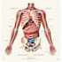create medical educational scientific arts