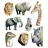 create realistic animal illustration