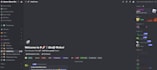 create a premium discord server for you