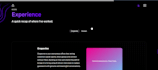 design wordpress shopify and custom coded websites