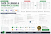 clean, structure, and preprocess your structured dataset for analysis