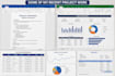 provide professional microsoft word and excel services