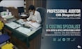 be your professional financial auditor and accounting expert