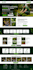 create or redesign a modern wordpress website