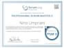 assist as a certified scrum master  senior IT project manager