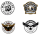 design a professional eagles logo with one day delivery
