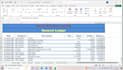 create professional excel automation and automated billing systems