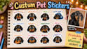 create a x12 pack custom pet stickers