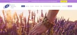 migrate your static wordpress site to nextjs with SEO