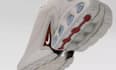 create 3d sneaker design, shoe rendering and footwear animation