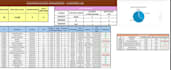 create a professional excel dashboard and data visualization