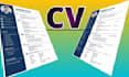 professional edit your resume, cv