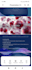 design professional powerpoint and canva presentations