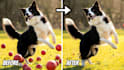 do professional photo editing, object and background removal