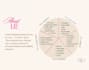create professional powerpoint presentations and pitch decks