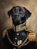 custom pet portrait, dog portrait, cat portrait