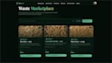 build full stack website