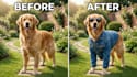 change or add clothes to your images professionally