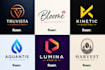 create a custom buisness logo
