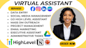 virtual executive shopify assistant ghl VA social media canva VA ghl expert