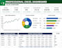 create professional excel dashboard and mis reports