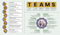 design custom unique infographic, flowcharts and graphs