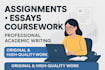 write high quality work, assignments, essay and coursework