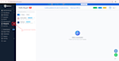 test your website and provide detailed bug report