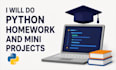code, debug, and automate python projects professionally