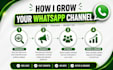 boost whatsapp followers and grow 50k whatsapp channel members with bulk