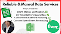 provide manual data entry and spreadsheet cleanup