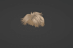 create you a ugc item