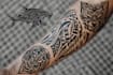 create your custom tribal polynesian tattoo sleeve