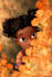 draw african american children book illustrations
