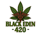 create a professional cannabis logo design