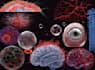 create scientific and medical illustrations
