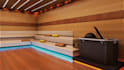 design cgi 3d sauna room, steam room, heat therapy room, wellness center