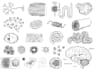 do medical and scientific line art illustration