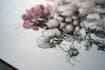 do a botanical illustration