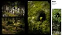photography and image editing